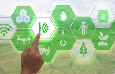 金数据海岳智粮·粮企云产品解决方案