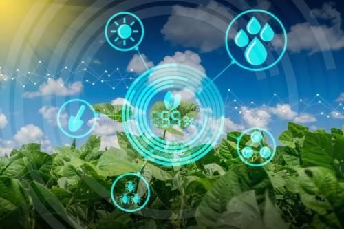 金数据海岳智粮·慧眼产品解决方案